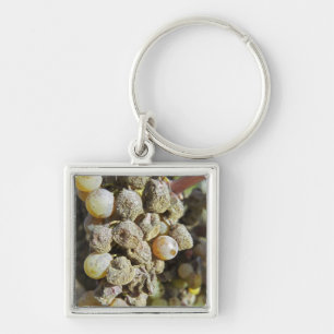 Porte-clés Raisins de Semillon avec pourriture noble. au mome