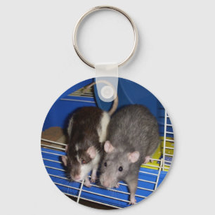 Porte-clés Rats doux