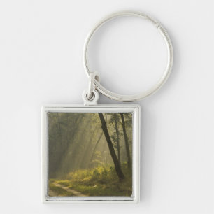 Porte-clés Rayons de lumière du matin à travers les arbres da