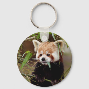 Porte-clés Red Panda