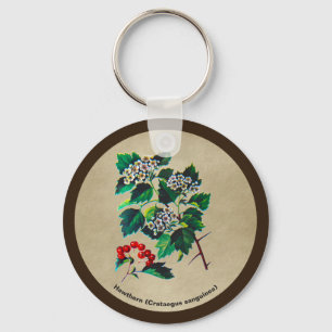 Porte-clés Redhaw Hawthorn sur vieux papier