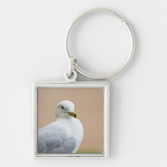 Porte-clés Regard (Devant)