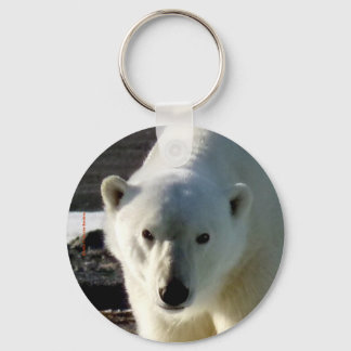 Porte-clés Regard dans l'oeil d'un ours polaire