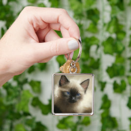 Porte-clés Regard D'Innocence Siamese Kitten Portrait