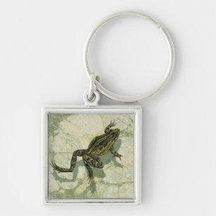 Porte-clés Remonter le crapaud dans l'eau
