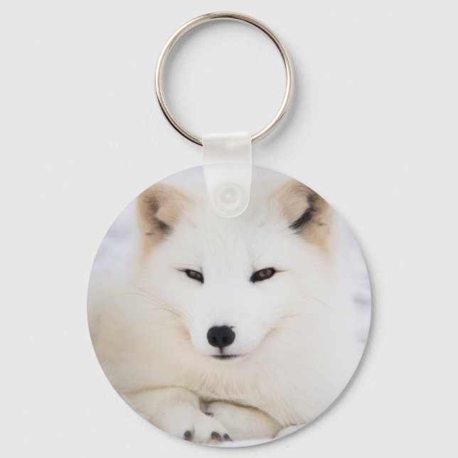 Porte-clés Renard blanc arctique dans la neige (Recto)