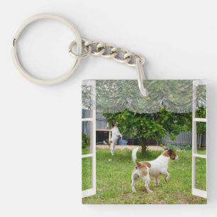 Porte-clés Renard Terriers À La Découverte Du Jardin,