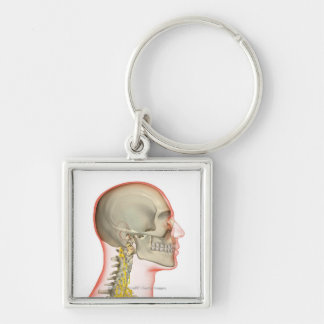 Porte-clés Rendu des nerfs du cou