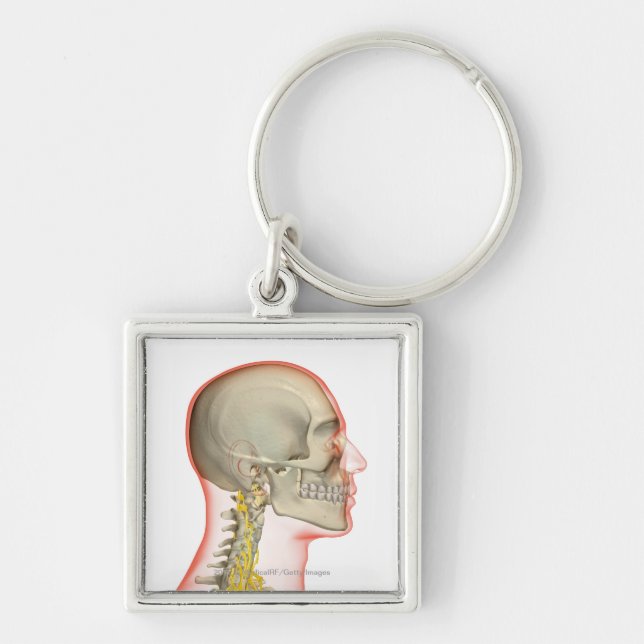 Porte-clés Rendu des nerfs du cou (Devant)