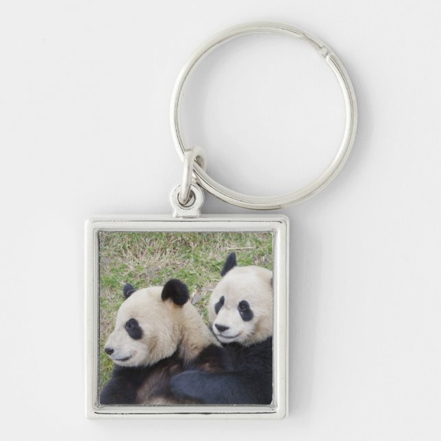 Porte-clés Réserve de Wolong, Chine, Panda géant embrassant (Devant)