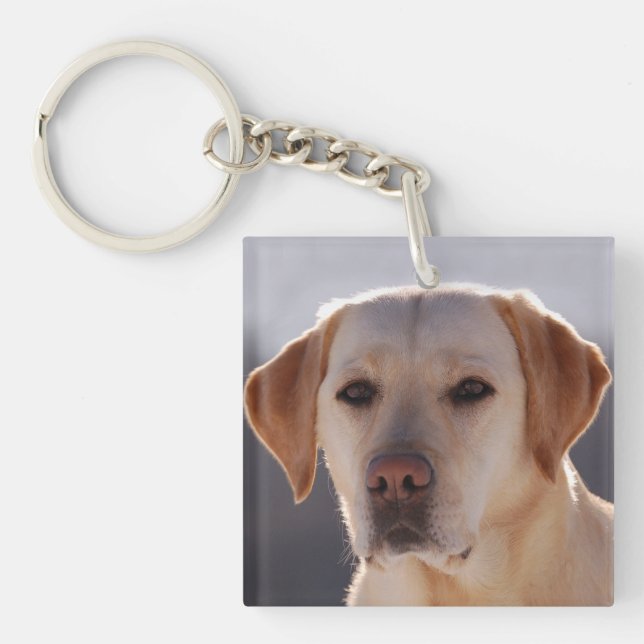 Porte-clés Retriever du Labrador (Devant)