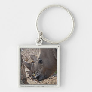 Porte-clés Rhinocéros