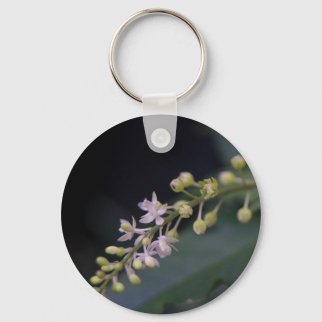 Porte-clés Rivina humilis (Recto)