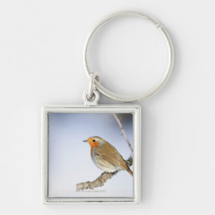 Porte-clés Robin était perché sur une branche en hiver