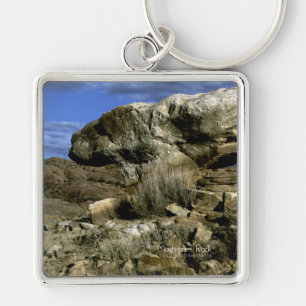 Porte-clés Roche de champignons