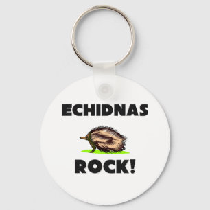 Porte-clés Roche d'Echidnas