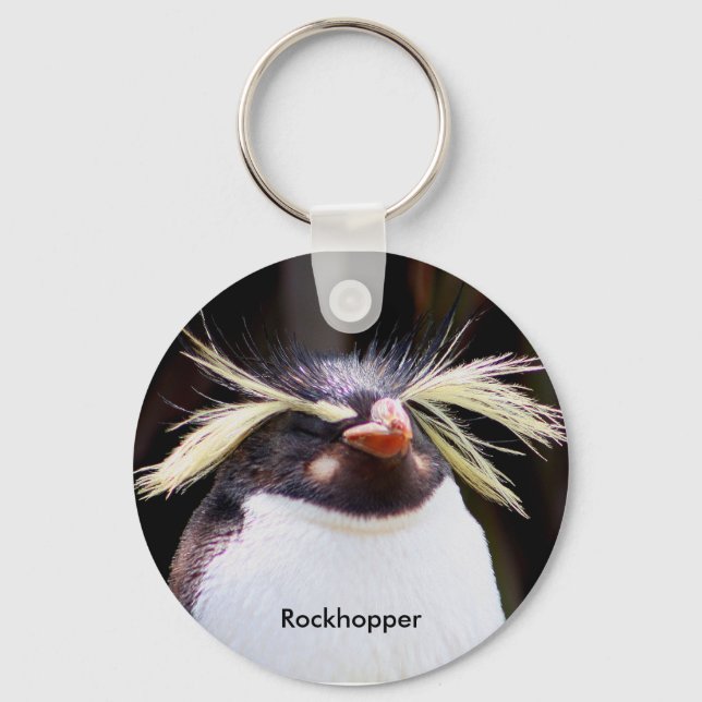 Porte-clés Rockhopper (Recto)