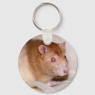 Porte-clés Rolando Keyring