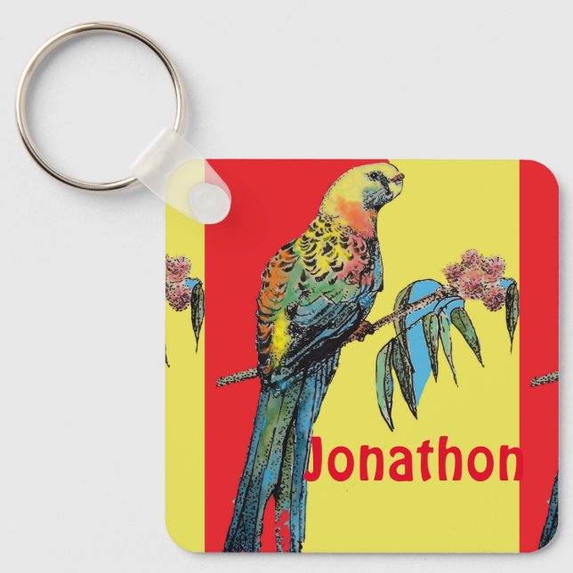 Porte-clés Rosella Parrot Aquarelle Enfants Nom des garçons (Recto)