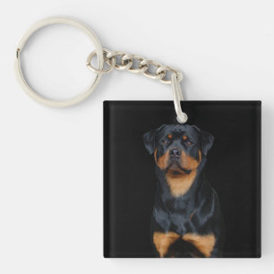 Porte-clés Rottweiler 