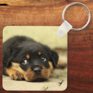 Porte-clés Rottweiler Puppy