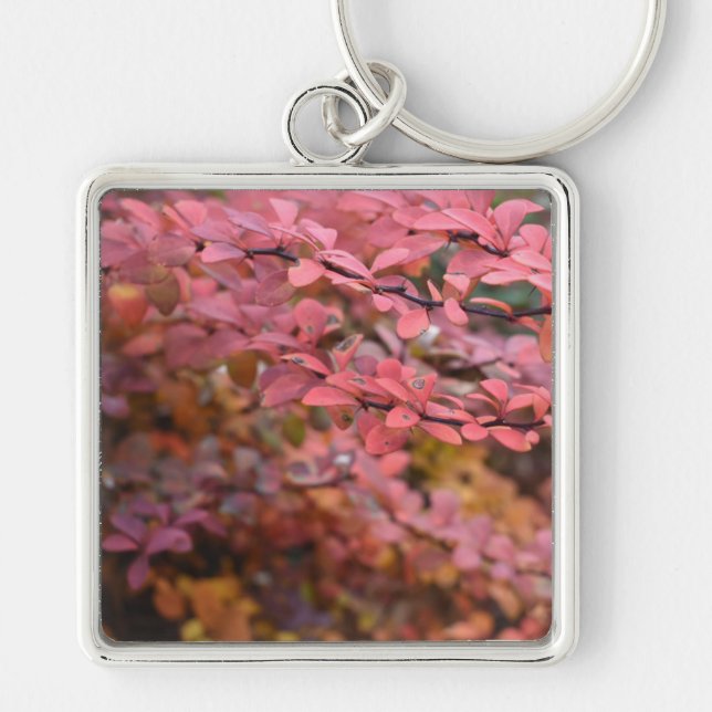 Porte-clés Rouge Orange Chute Feuillage Automne Feuilles Natu (Devant)