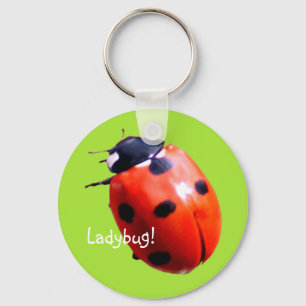 Porte-clés Rouge tacheté Ladybug