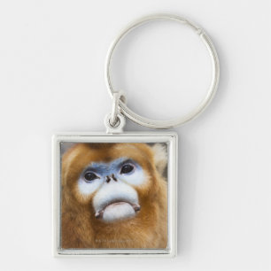Porte-clés Roxellana d'or masculin de Pygathrix de singe