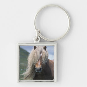 Porte-clés Royaume-Uni, Écosse, îles Shetland, poney Shetland