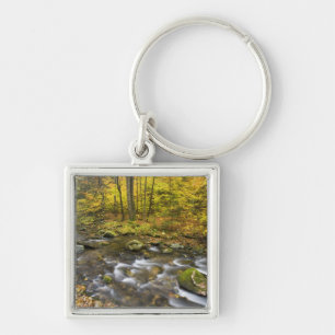 Porte-clés Ruisseau Sanderson. Forêt d'État de Chester-Blanf