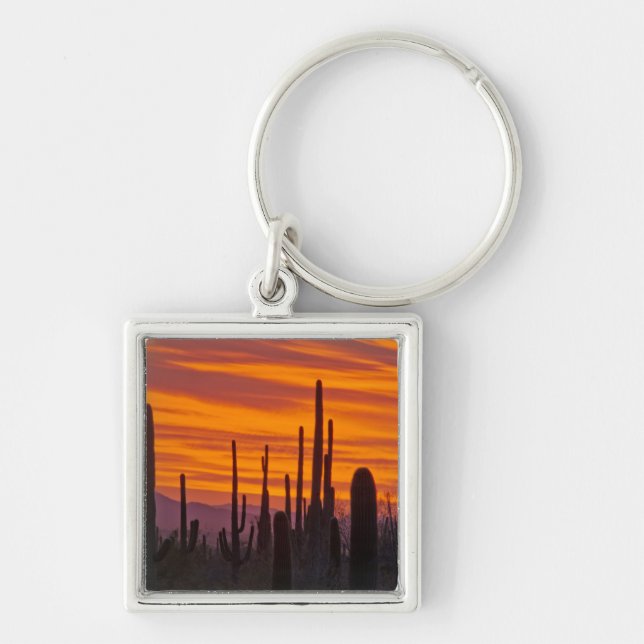 Porte-clés Saguaro, coucher du soleil, Parc national du Sagua (Devant)
