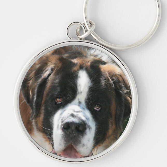 Porte-clés Saint Bernard Face Grand Porte - clé Premium (Devant)