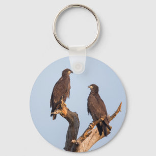 Porte-clés Saison 7 - E12 & E13 SW Florida Eagle Cam Porte - 