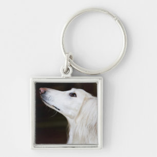 Porte-clés Saluki recherchant