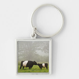 Porte-clés Scène brumeuse de la vache ceinturée à Galloway