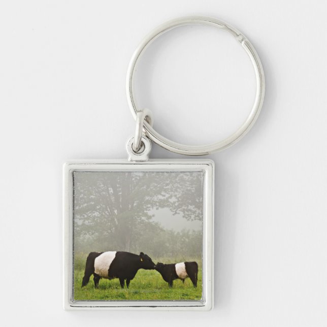 Porte-clés Scène brumeuse de la vache ceinturée à Galloway (Devant)