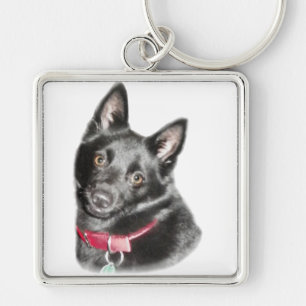 Porte-clés Schipperke Picture