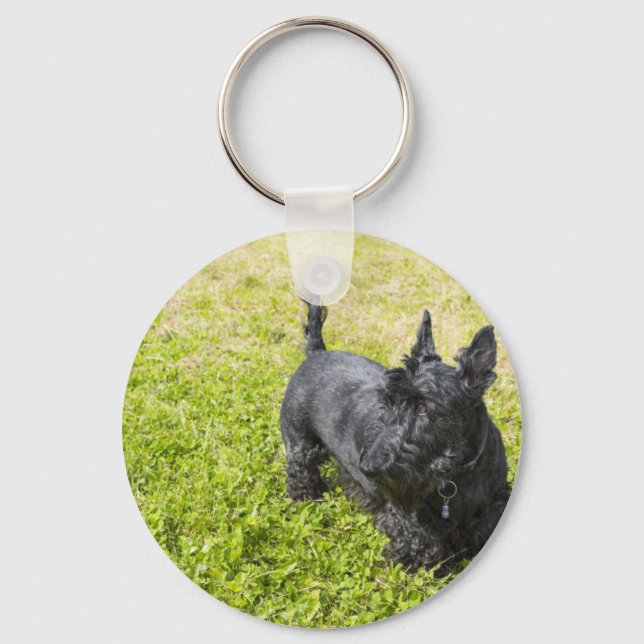 Porte-clés Scottish Terrier (Recto)