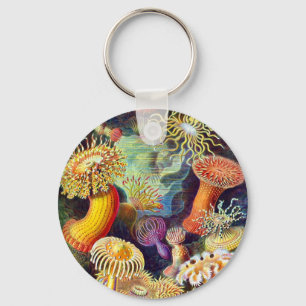 Porte-clés Sea Anemones Ernst Haeckel Art