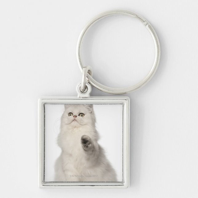 Porte-clés Séance de chat persan (Devant)