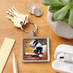 Porte-clés Sentir La Frontière D'Amour Collie