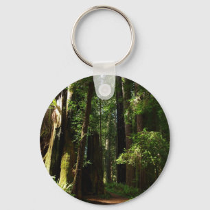 Porte-clés Séquoias et fougères au parc national de Redwood