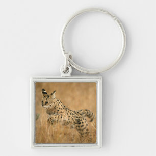 Porte-clés Serval (Leptailurus Serval) sautant