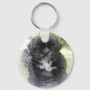 Porte-clés Shih Tzu Porte - clé chiot