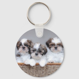 Porte-clés Shih Tzu puppies