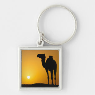 Porte-clés Silhouette d'un chameau sauvage au coucher du