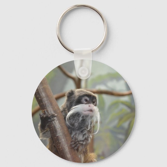 Porte-clés Singe autour du Porte - clé (Recto)