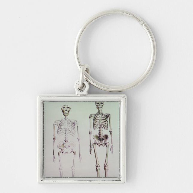 Porte-clés Skeletons d'Australopithèque Boisei (Devant)