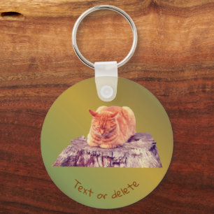 Porte-clés Sleeping Orange Tabby Chat Animal Personnalisé