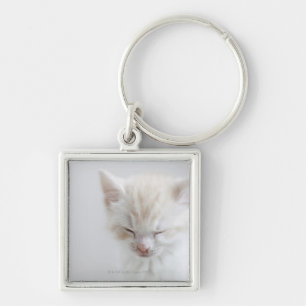 Porte-clés Sommeil blanc de chaton